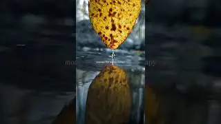 relaxing rain⛈️showers for deep sleep😴#shortsfeed #sleepmusic #rain #nature #shorts #trending #music