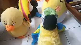 Hunter Orange hunting the birds in the bird City part 5