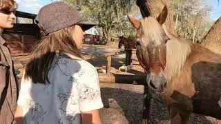 Horseback riding lessons and farm fun! Florida adventure!