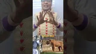 भारतीय प्रधान मंत्री का जलवा Prime Minister of India #Sher #Modi #trinding Mukesh Motihari