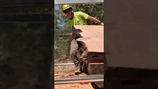 Turning Logs into Live Edge Slabs | Responsible Timber LLC