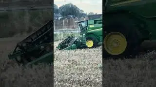 Harvesting Wheat with a Giant Harvester | Life in German Agriculture