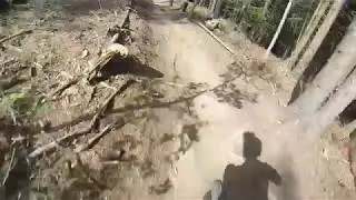 2019 Bikepark Geißkopf | Freeride
