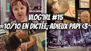 VOL #15 : Kim a 10 sur 10 en dictée -  Repose en paix Papi - Une araignée m'attaque...