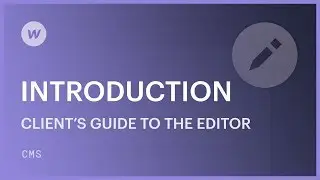 Client's guide to the Webflow Editor: Introduction