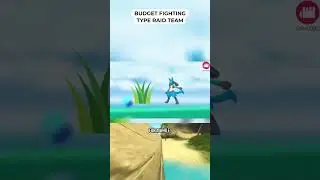 Budget Fighting Type Raid Team