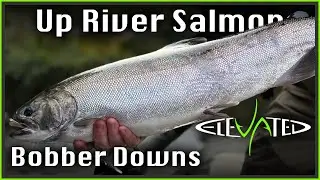 Up River Centerpin Fall Chinook | Oregon Fall Salmon | 2024 Ep. 03
