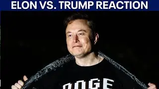 Members of Congress react to Elon Musk and Donald Trump feud
