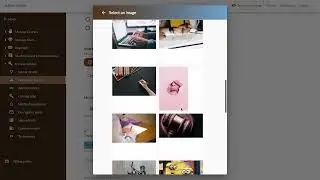 How to customise your online academy