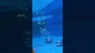 Wateraction Hotwheels Part1 !!#noah #crash #hotwheels #water #underwater