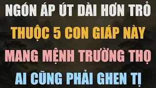 5 CON GIÁP CÓ NGÓN ÁP ÚT DÀI HƠN NGÓN TRỎ – SỐ MỆNH TRƯỜNG THỌ, GIÀU SANG CẢ ĐỜI!