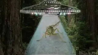 gu&ecirc;pe qui!i danse 1