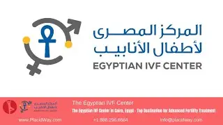 IVF Center in Cairo Egypt Helps Families Achieve DREAMS
