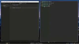 How to Run JavaScript code