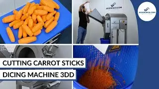 Carrot Sticks Cutting Machine | Vegetable Dicing Machine 3DD | Cuts Carrots Strips
