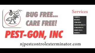 Pest Control Bridgewater NJ