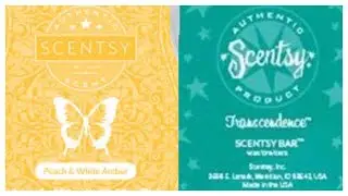 Tester Tuesday #108 Peach & White Amber and Transcendence (Scentsy Reviews)