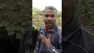 dolak toh hijade bajate hai#youtubeshorts#mithunchakraborty dialogue#gunda movie