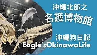 沖繩狗日記｜沖繩北部之名護博物館｜鯨魚標本|沖繩旅遊推薦