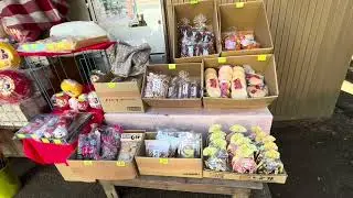 U A美國聯合航空假期；高雄～東京，樂齡漫遊體驗來東京成田鄉下住一晚「SOGO民宿」。
