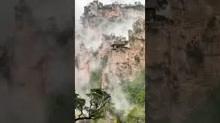 most beautiful places cool weather forest jungle mountains #shorts #youtubeshorts #mountains