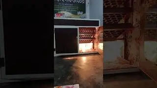 ৪০০ ডিমের ফুল অটোমেটিক ইনকিউবেটর#eggincubatorprice #automaticicubator