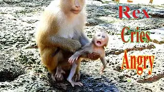 BABY REX CRYING ANGRY MOM ROSE BLOCKED HIM