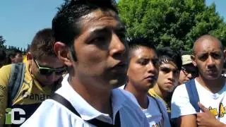 Los ex de la 'Rebel' forman nueva barra puma