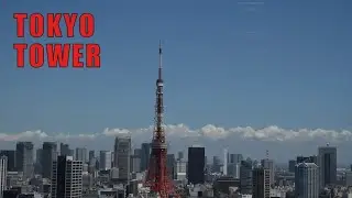 Top deck view -Tokyo Tower 🇯🇵
