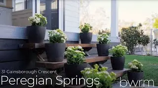 CINEMATIC real estate video of this IMMACULATE, POOL HOME in Peregian Springs, QLD