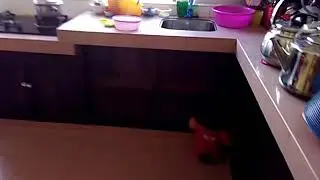 Wet floor (warning!)
