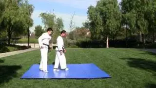 Hapkido Choke Defense From Behind 011511