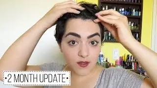 Growing Out My Pixie Cut- Month 2 | Laura Neuzeth