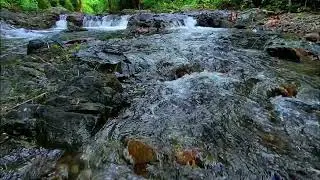 Peaceful River Water ASMR &ndash; Background Ambience for Studying