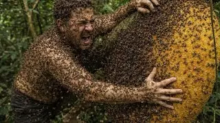 Harvesting 2 Giant Wild Beehives &mdash; Surrounded by a Swarm of Bees