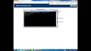 Verifying Silk Performer DLL injection