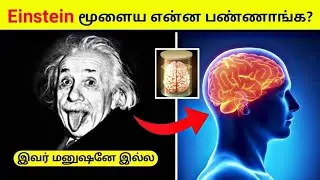 #shorts | அபார சக்தி கொண்ட Einstein மூளை 😱 | Albert Einstein Brian facts tamil | facts in minutes