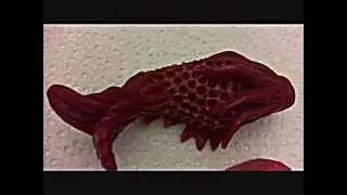 MODELLI e SCULTURE (abbozzi per prototipi)