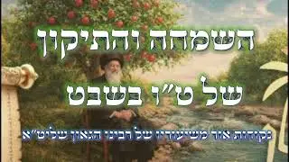 השמחה והתיקון של ט