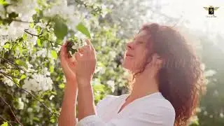 🌿 A New Era of Wellness Living in Dubai