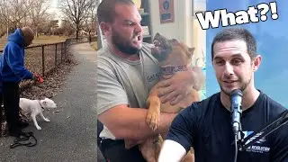 Dog Trainers React to CRAZY Dog Videos