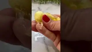 Crunchy Pineapple Jelly Slime