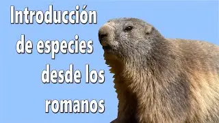 Los nuevos huéspedes - 1ª parte de 2.