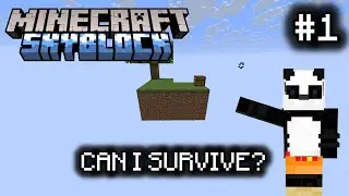 CAN I SURVIVE SKYBLOCK? | Minecraft 1.21.11 Skyblock Series Ep 1