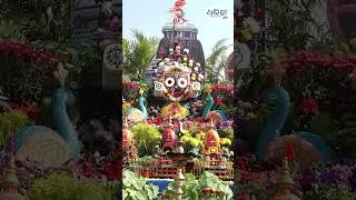 ଫୁଲରେ ସୁନ୍ଦର ଦିଶୁଛି ସହର | Flower Exhibition | Dharitri