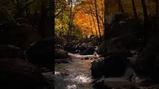 Somewhere in nowhere: A peaceful escape into untouched nature