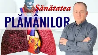 Cele mai bune alimente pentru sănătatea PLĂM&Acirc;NILOR. Află şi ce plante medicinale te ajută!