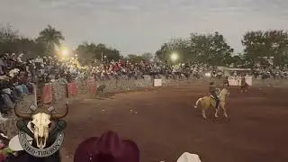 Lleno total en SAN JACINTO el mero día de la fiesta … con buenos toros pura lumbre 