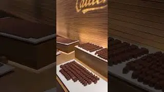 Chocolate Tasting At Maison Cailler Chocolate Factory 🏭 #shorts #ytshorts #chocolate #switzerland