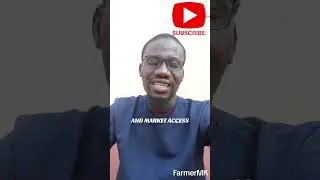 Rwanda&rsquo;s Coffee Gold #farmermk #africa #agriculture #motivation